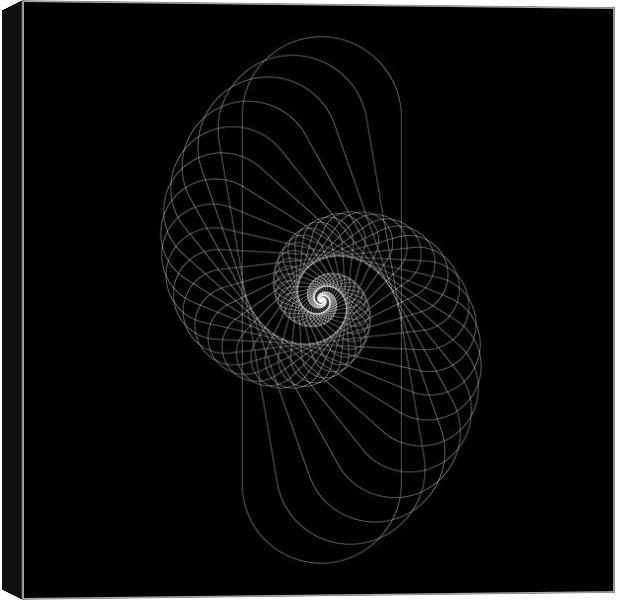 Snail shape white vector image on black background. Canvas Print by Arpad Radoczy