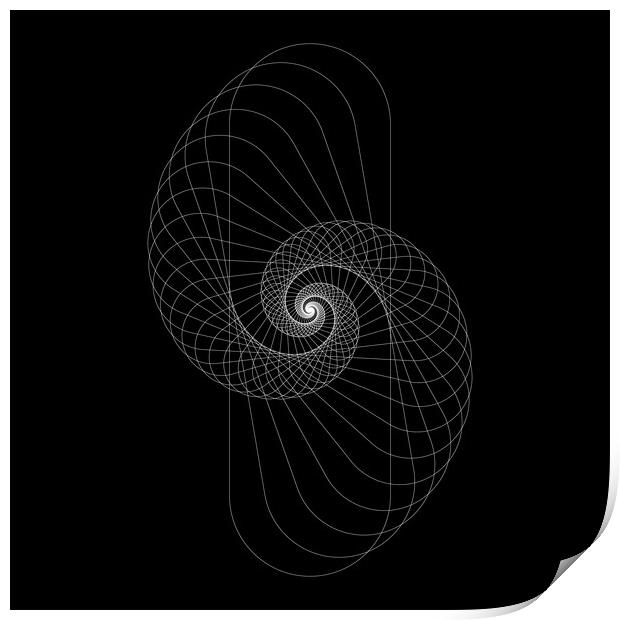 Snail shape white vector image on black background. Print by Arpad Radoczy