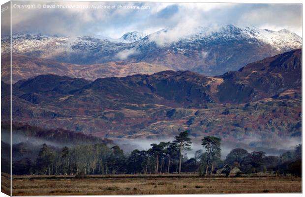 From fields to mountains Canvas Print by David Thurlow