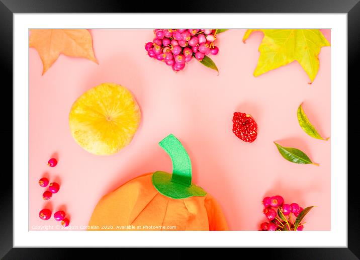Autumnal background with leaves and berries next to a pumpkin cloth. Framed Mounted Print by Joaquin Corbalan