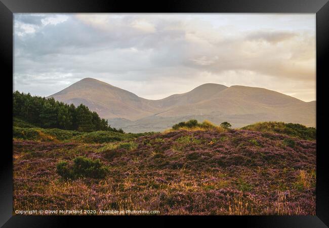 Evening falls on the Mournes Framed Print by David McFarland