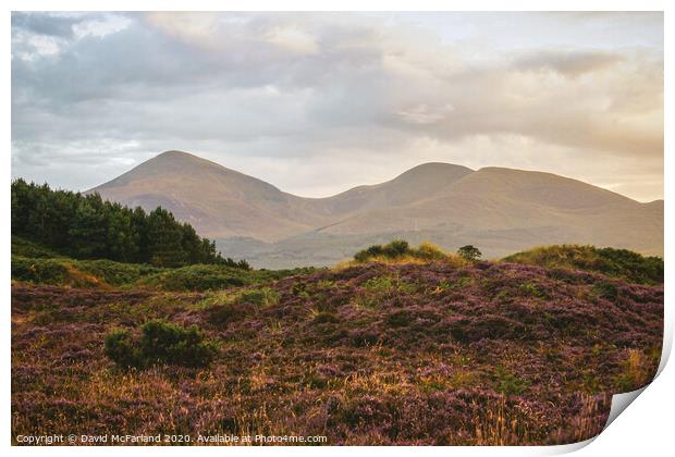 Evening falls on the Mournes Print by David McFarland