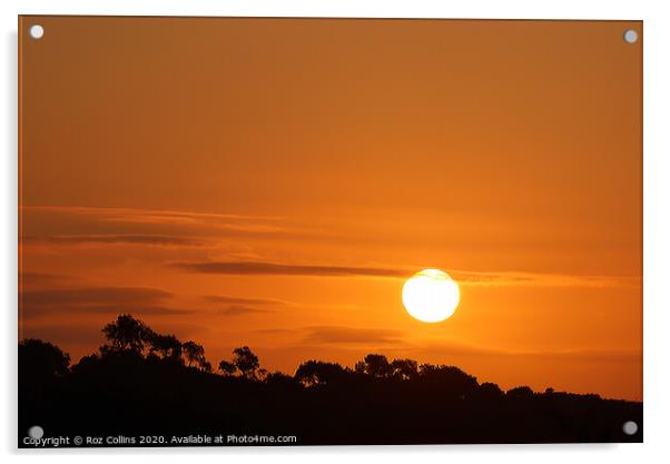 Late Summer, Alentejo Sunrise Acrylic by Roz Collins