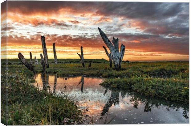 Sunset colours over the Thornham stumps  Canvas Print by Gary Pearson