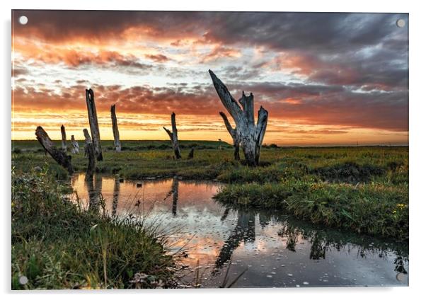 Sunset colours over the Thornham stumps  Acrylic by Gary Pearson