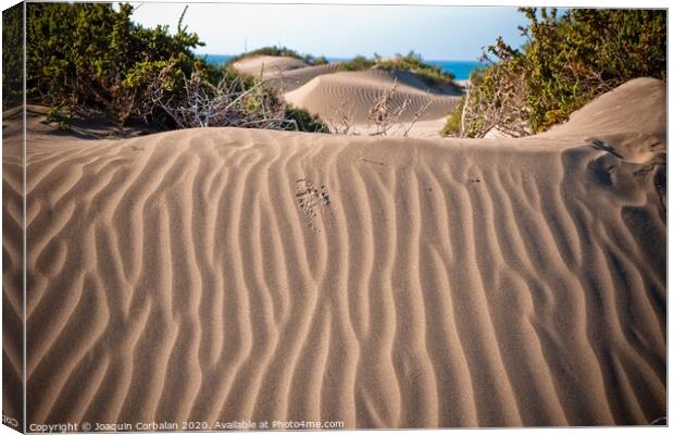 Dunas del desierto con ondasDesert dunes with waves Canvas Print by Joaquin Corbalan