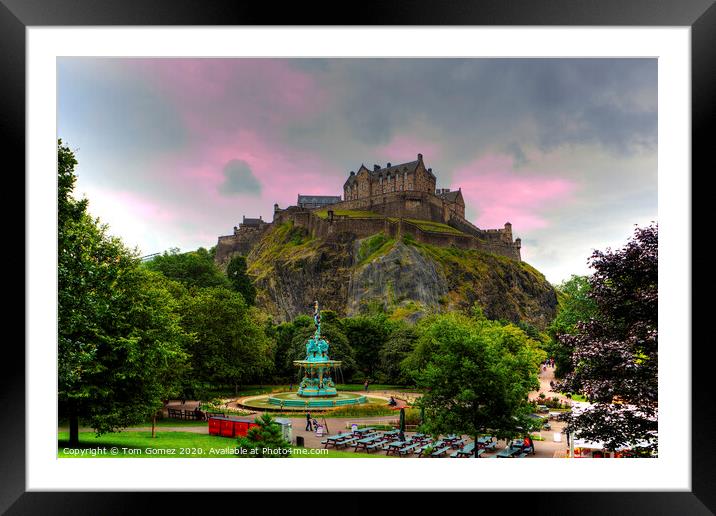 Ross Fountain and Castle Framed Mounted Print by Tom Gomez