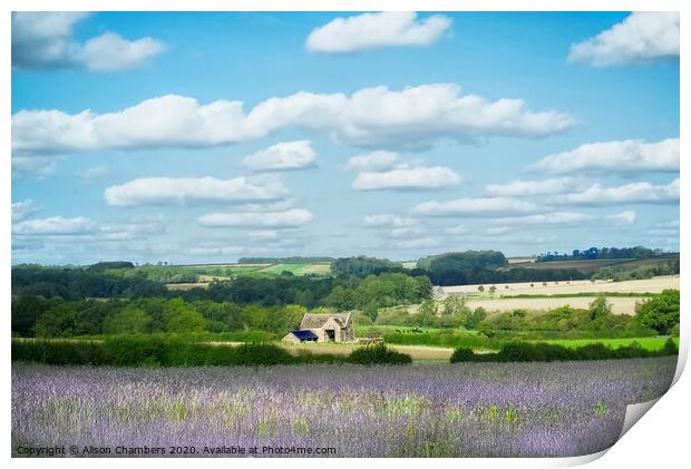 Windrush Valley Cotswolds Print by Alison Chambers