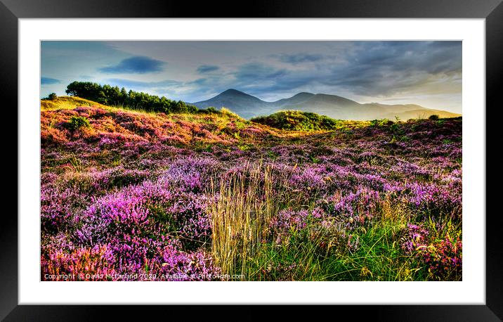 Mournes from Murlough Framed Mounted Print by David McFarland