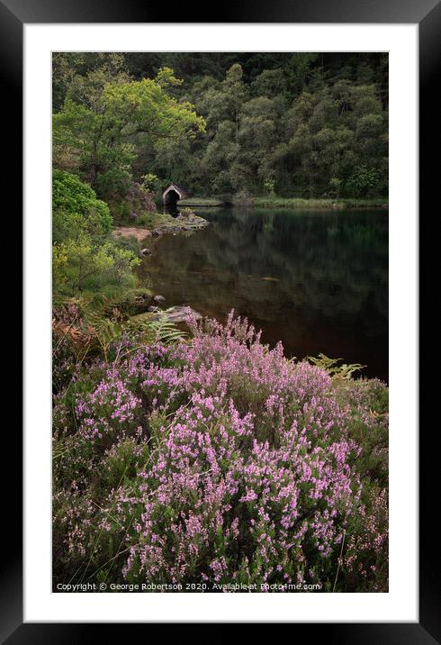 Purple heather and reflections of an Old Boathouse on Loch Chon, Scotland Framed Mounted Print by George Robertson