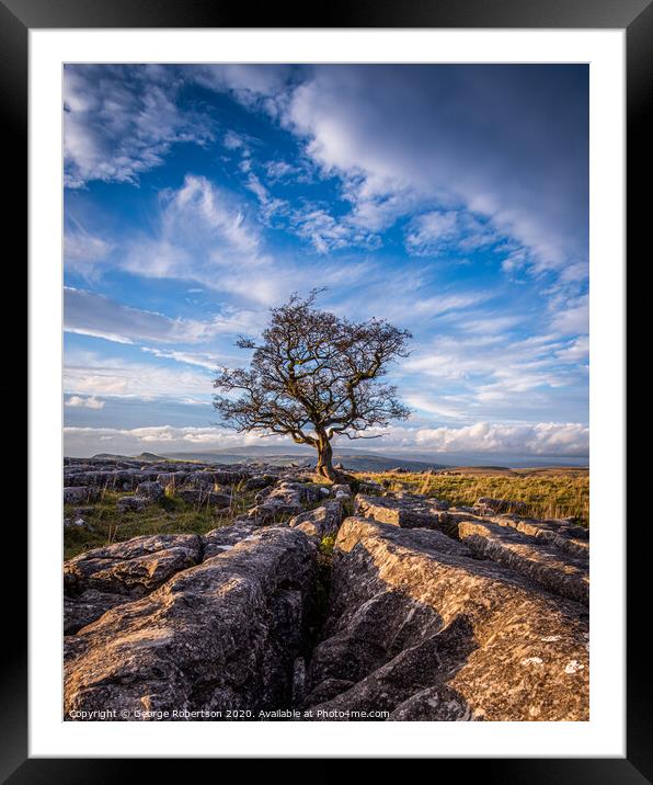 Last light at the lone tree at Winskill Stones Framed Mounted Print by George Robertson