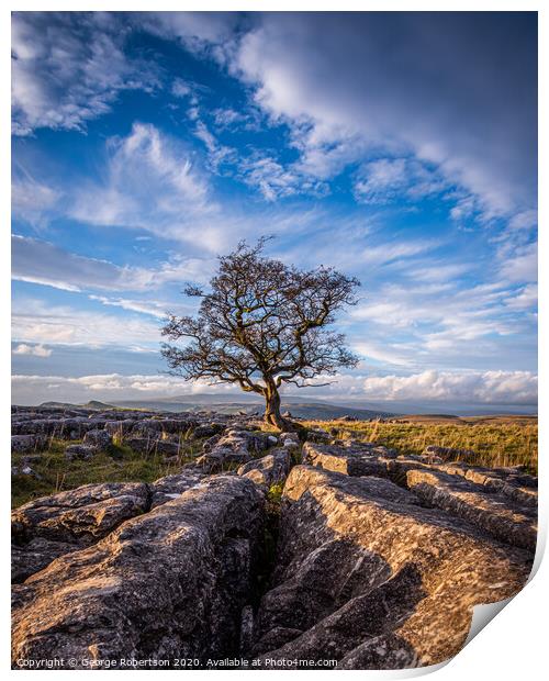 Last light at the lone tree at Winskill Stones Print by George Robertson