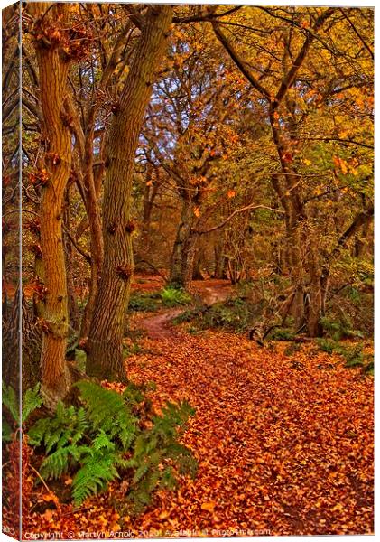 Autumn Wood Canvas Print by Martyn Arnold