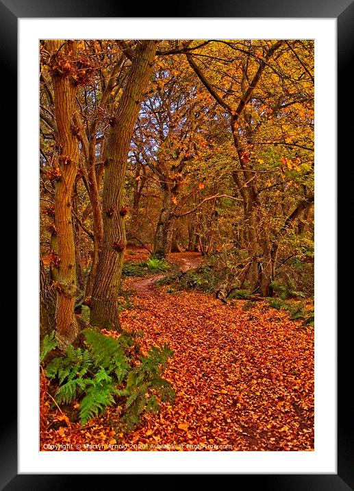 Autumn Wood Framed Mounted Print by Martyn Arnold
