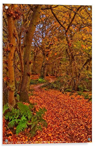 Autumn Wood Acrylic by Martyn Arnold