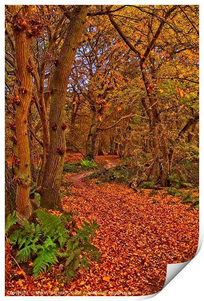 Autumn Wood Print by Martyn Arnold