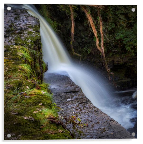 Sgwd Clun Gwyn waterfall South Wales Acrylic by Leighton Collins
