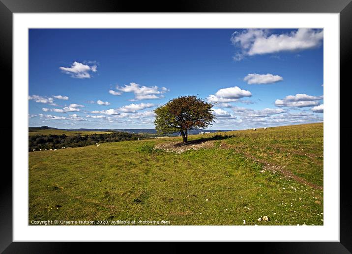Lone tree on the South Downs Framed Mounted Print by Graeme Hutson