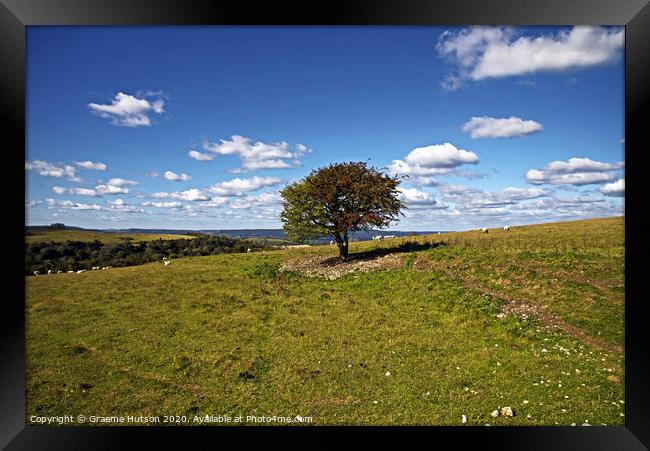 Lone tree on the South Downs Framed Print by Graeme Hutson