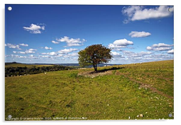 Lone tree on the South Downs Acrylic by Graeme Hutson