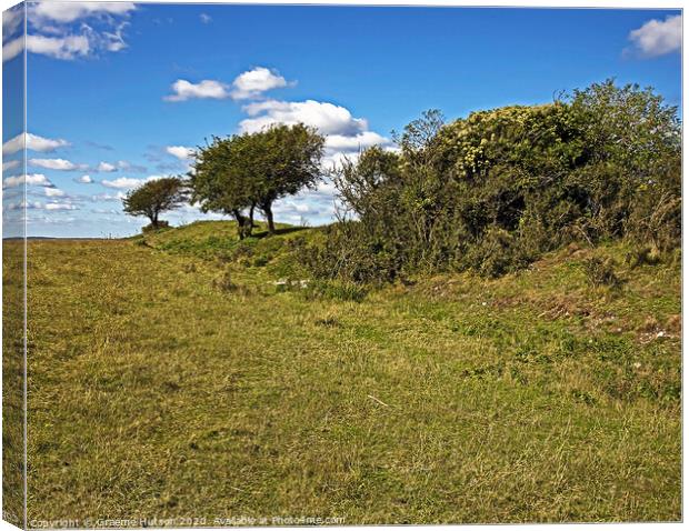 Trees on a hillfort's ramparts Canvas Print by Graeme Hutson