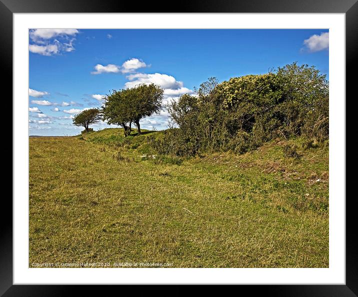 Trees on a hillfort's ramparts Framed Mounted Print by Graeme Hutson