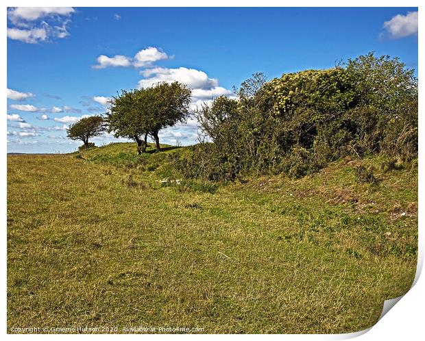 Trees on a hillfort's ramparts Print by Graeme Hutson