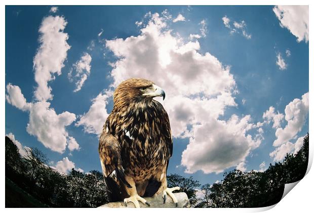 Mountain eagle. Print by Mikhail Pogosov