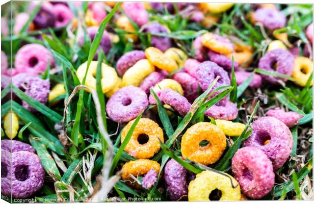 Detail of a ring cereal breakfast of bright colors scattered on the ground of a park. Canvas Print by Joaquin Corbalan