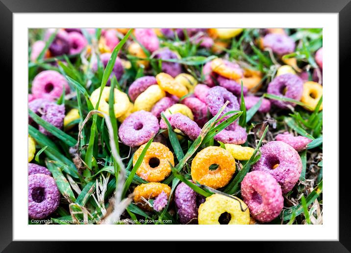 Detail of a ring cereal breakfast of bright colors scattered on the ground of a park. Framed Mounted Print by Joaquin Corbalan