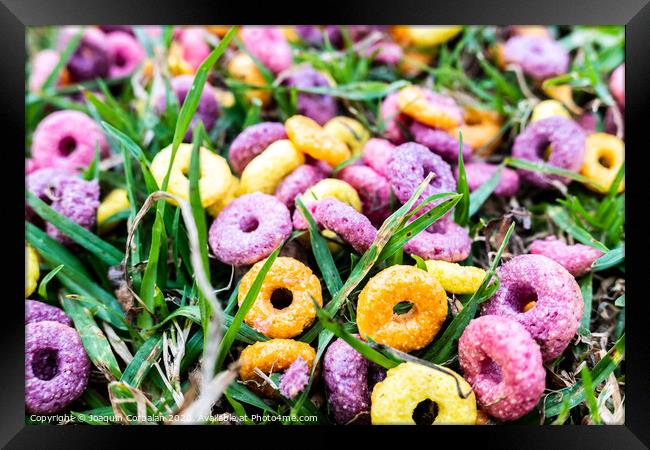Detail of a ring cereal breakfast of bright colors scattered on the ground of a park. Framed Print by Joaquin Corbalan