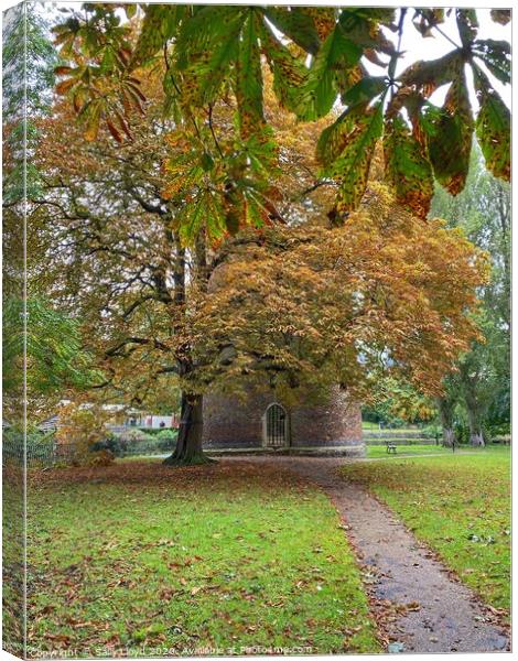 Autumn at Cow Tower, Norwich Canvas Print by Sally Lloyd