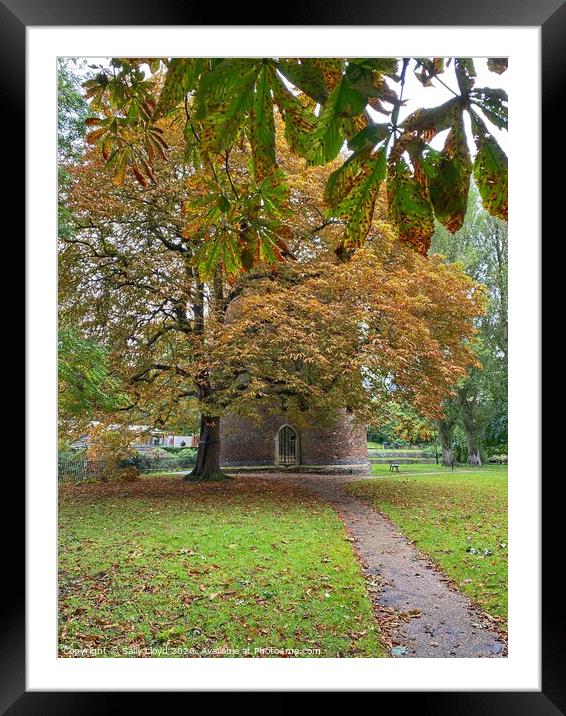 Autumn at Cow Tower, Norwich Framed Mounted Print by Sally Lloyd
