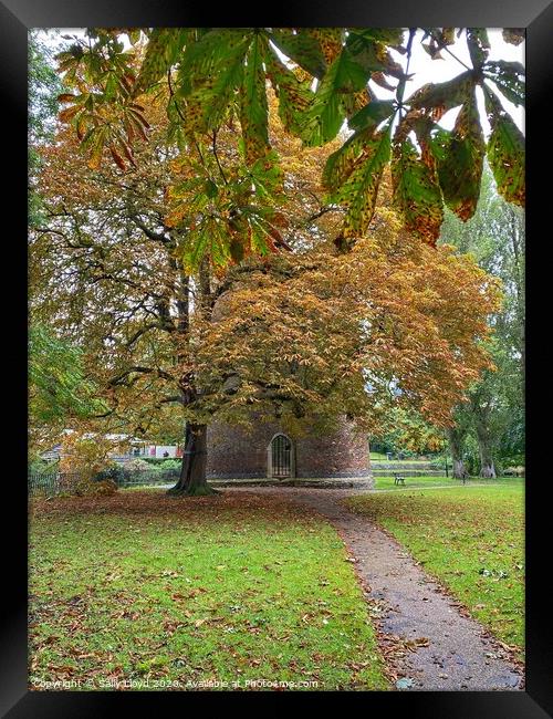Autumn at Cow Tower, Norwich Framed Print by Sally Lloyd