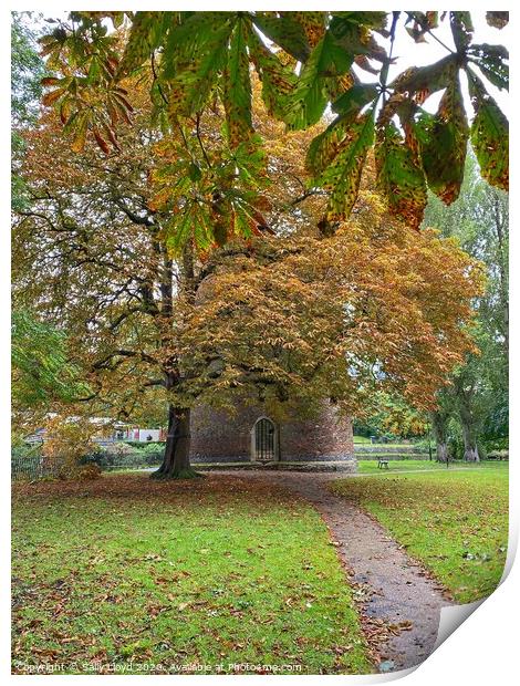 Autumn at Cow Tower, Norwich Print by Sally Lloyd