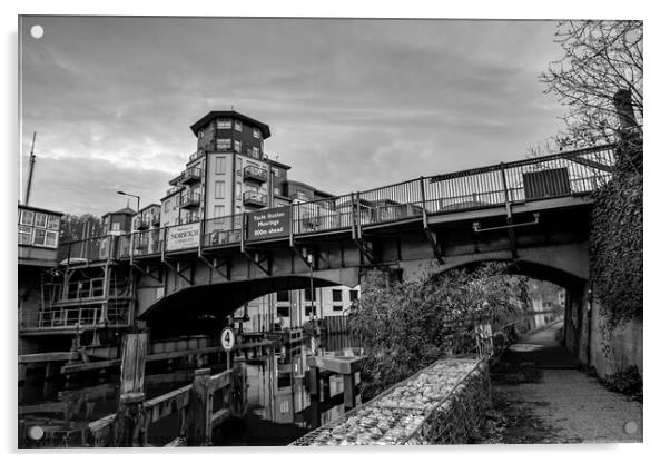 Carrow Road Bridge over the River Wensum, Norwich  Acrylic by Chris Yaxley