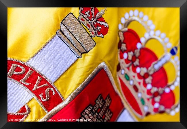 Detail of the historical shield of the national flag of Spain. Framed Print by Joaquin Corbalan
