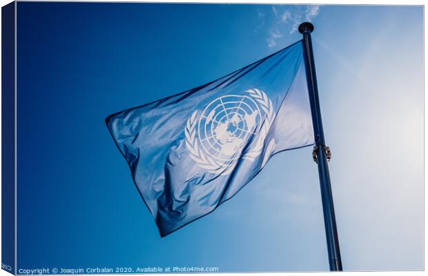 UN flag waved against the sun and blue sky. Canvas Print by Joaquin Corbalan