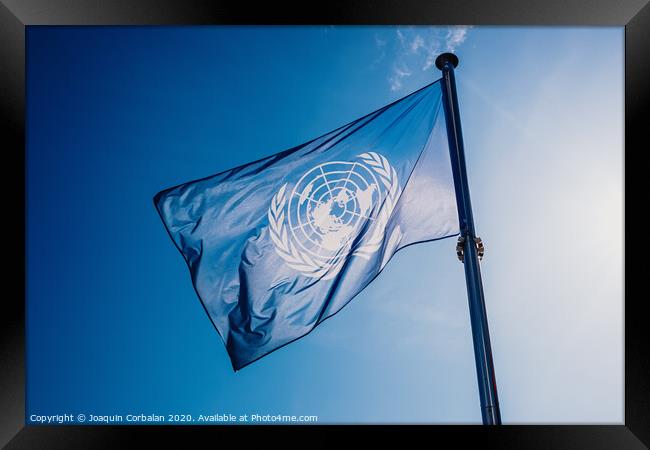 UN flag waved against the sun and blue sky. Framed Print by Joaquin Corbalan