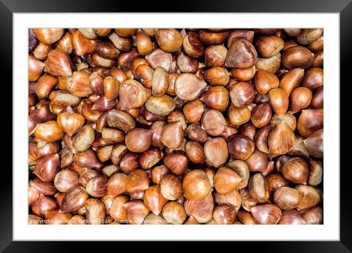 Piles of fresh unpeeled raw chestnuts. Framed Mounted Print by Joaquin Corbalan