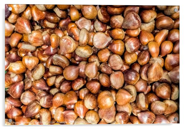 Piles of fresh unpeeled raw chestnuts. Acrylic by Joaquin Corbalan