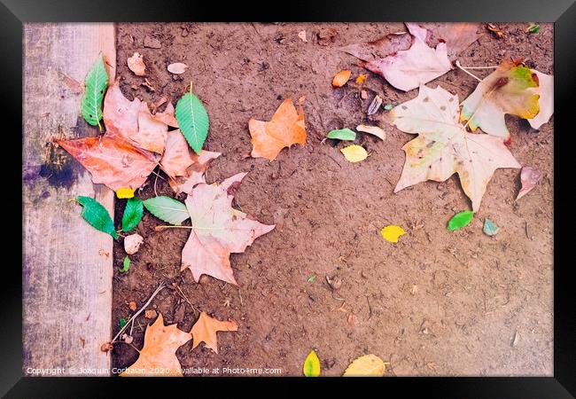Ground muddy with dry leaves after the first rains of autumn, copy space to use as background. Framed Print by Joaquin Corbalan