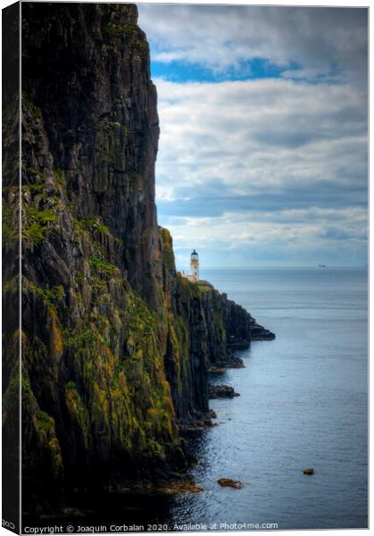 Scottish coast with cliffs Canvas Print by Joaquin Corbalan