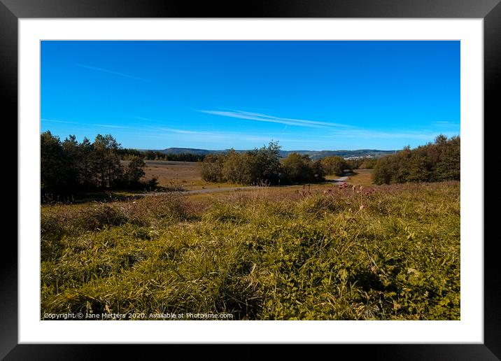 Parc Penallta  Framed Mounted Print by Jane Metters