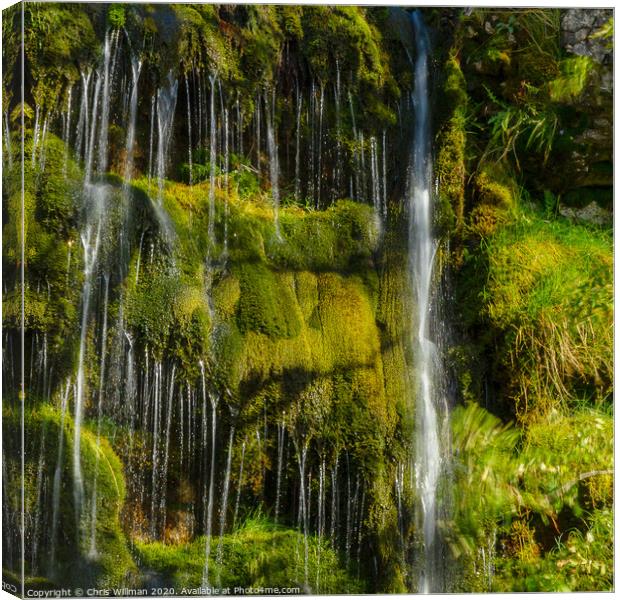 Yorkshire Dale Waterfall Canvas Print by Chris Willman