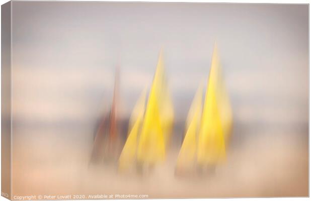 Yellow Sails Canvas Print by Peter Lovatt  LRPS