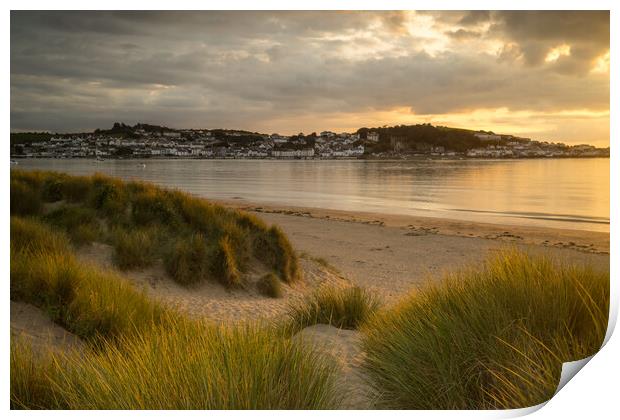 Appledore from the dunes of Instow Print by Tony Twyman
