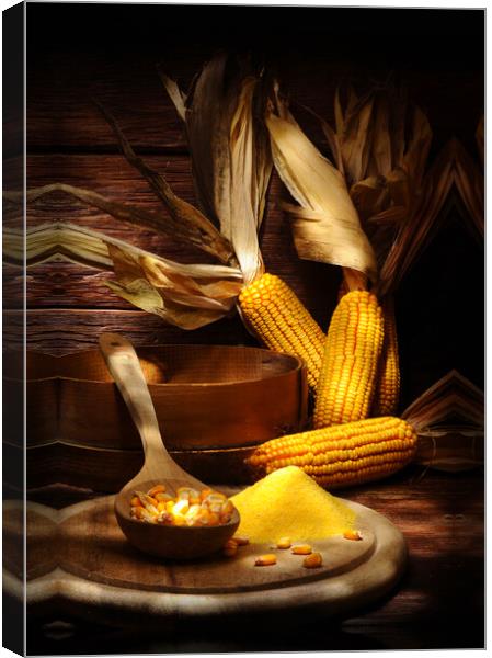 maize with corns and polenta Canvas Print by Alessandro Della Torre