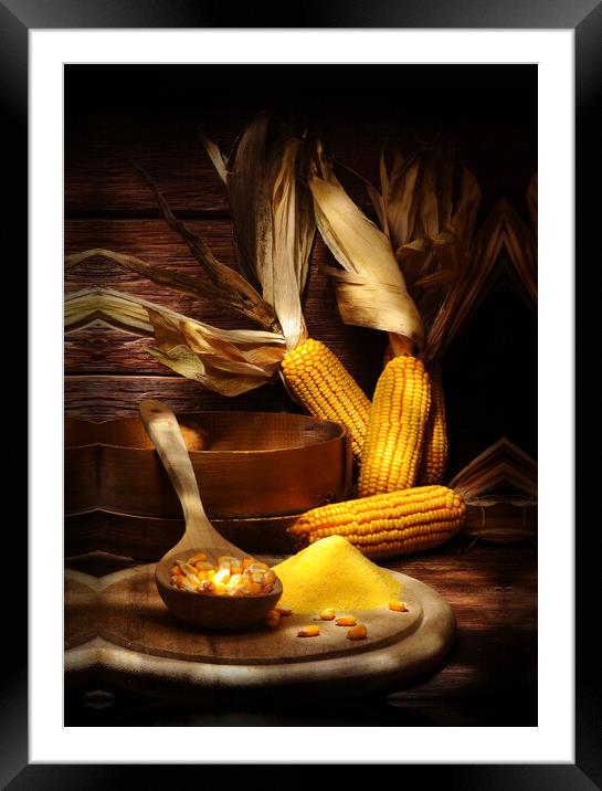 maize with corns and polenta Framed Mounted Print by Alessandro Della Torre