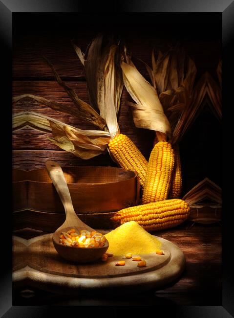 maize with corns and polenta Framed Print by Alessandro Della Torre